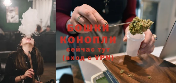 молекула духа Медвежьегорск
