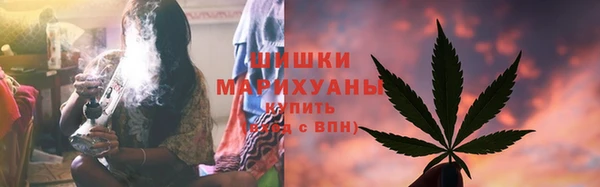молекула духа Медвежьегорск