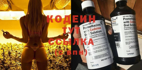 молекула духа Медвежьегорск