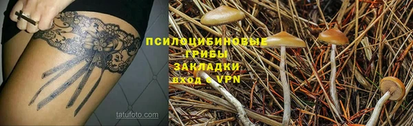 молекула духа Медвежьегорск