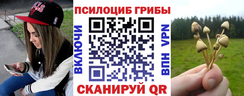 цены   даркнет формула  Псилоцибиновые грибы MAGIC MUSHROOMS  Емва 